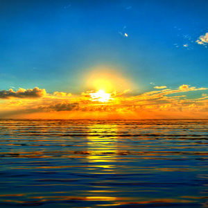 Meet your Posher, Shanda